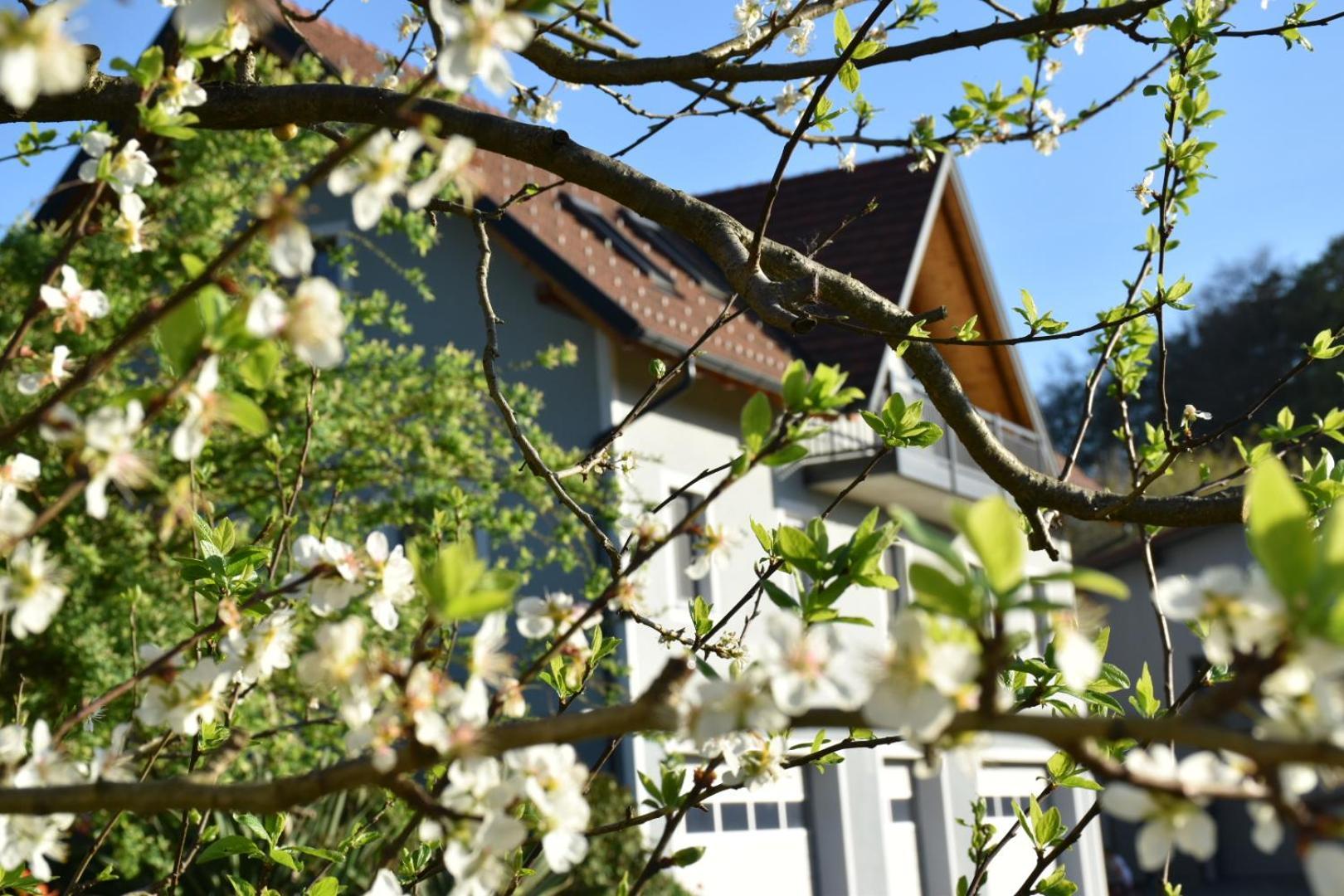 Ferienhaus Am Hof Zotter Riegersburg Esterno foto